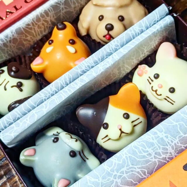 スタッフにチョコをいただきました。
造形が、もはや職人芸の域に。